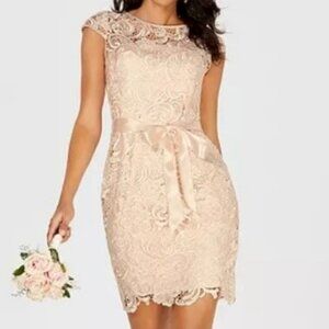 ADRIANNA PAPELL Cap Sleeve Illusion Pink Lace Sheath Dress 16 NEW MOB Wedding